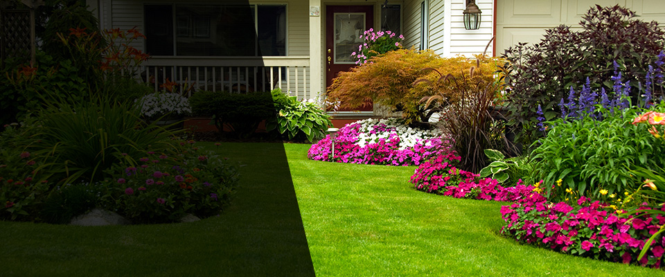 Sterling Landscapers